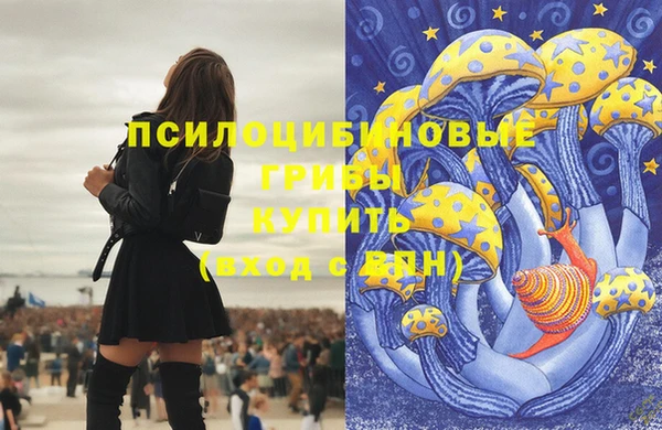 первитин Горнозаводск