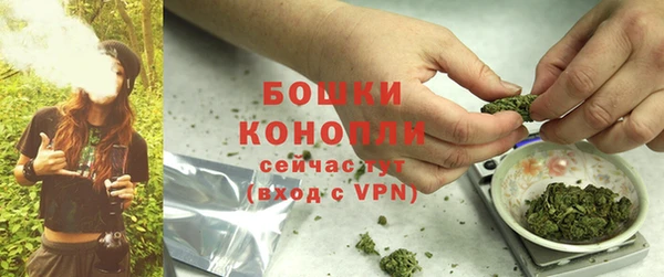 молекула духа Вяземский