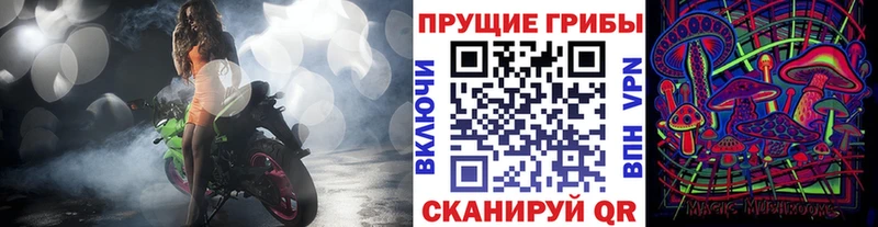 ссылка на мегу как зайти  Звенигород  Псилоцибиновые грибы MAGIC MUSHROOMS  купить наркоту 
